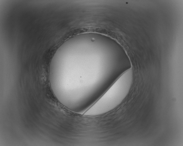 X0000083531253200702090711