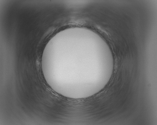 X0000083531254200702090711