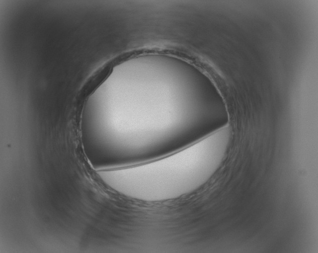 X0000083531256200702090711