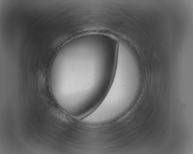 X0000083531257200702090711
