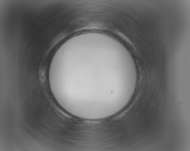X0000083531258200702090711