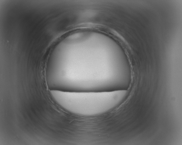 X0000083531259200702090711
