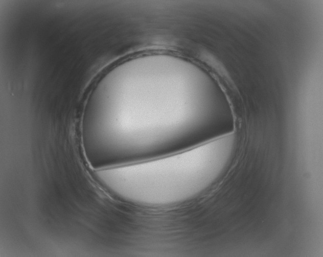 X0000083531260200702090711