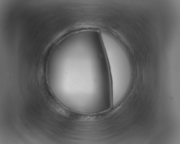X0000083531261200702090711
