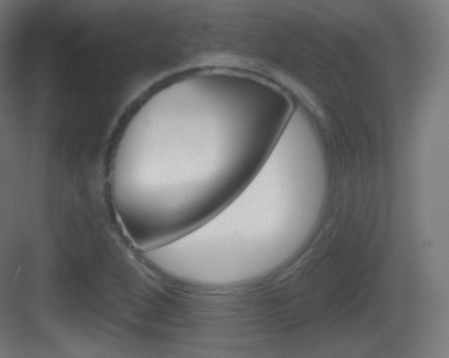 X0000083531264200702090711