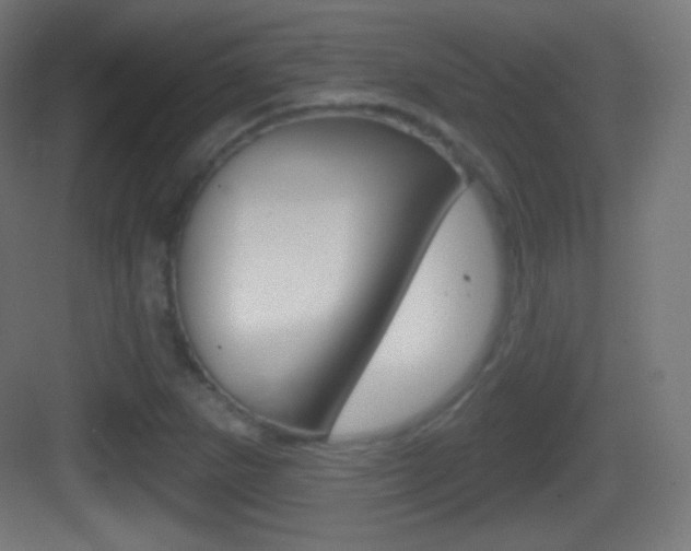 X0000083531265200702090711