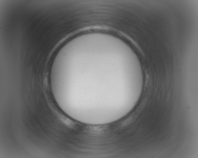 X0000083531266200702090711