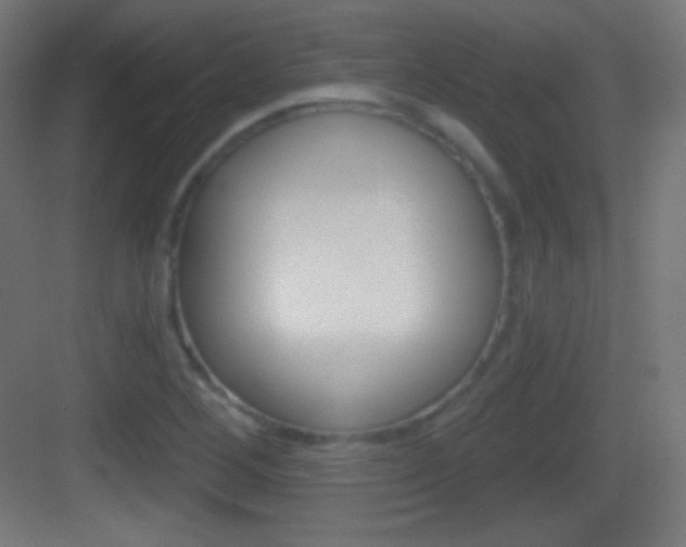 X0000083531268200702090711