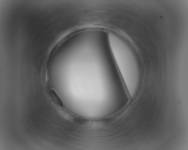 X0000083531269200702090711