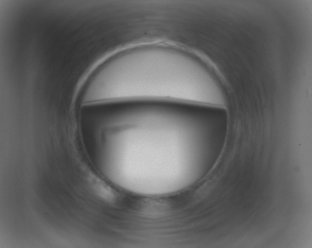 X0000083531270200702090711