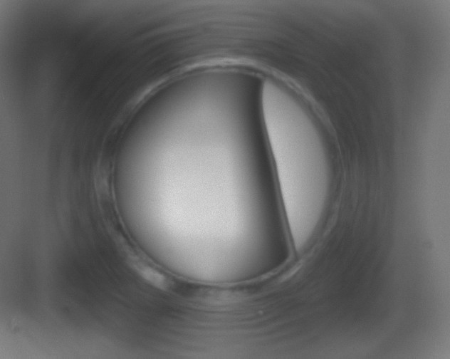 X0000083531273200702090710