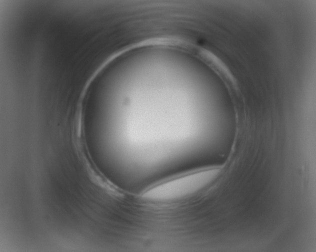 X0000083531276200702090710