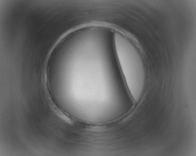 X0000083531280200702090710