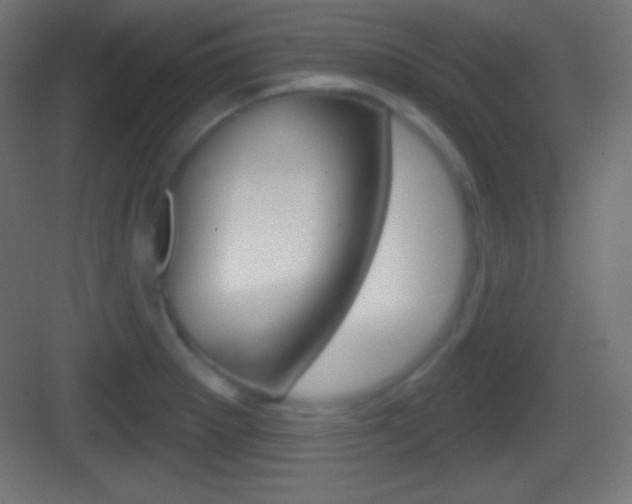 X0000083531281200702090710