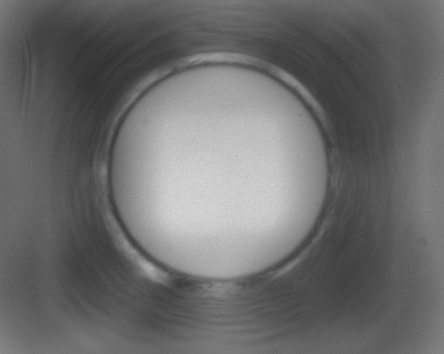 X0000083531282200702090710
