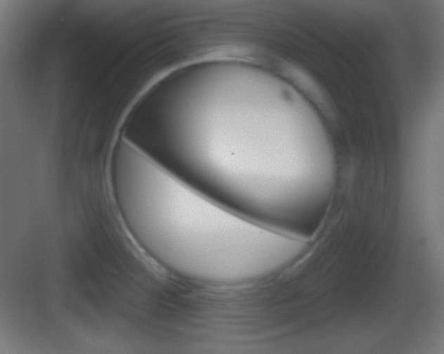 X0000083531284200702090710