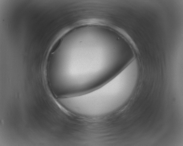 X0000083531285200702090710