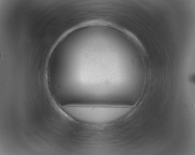X0000083531288200702090710