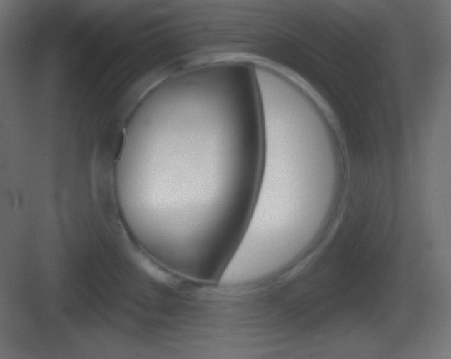 X0000083531289200702090710