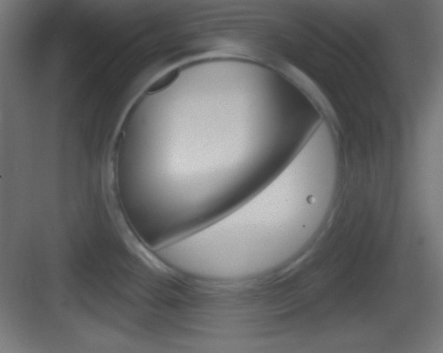 X0000083531292200702090710