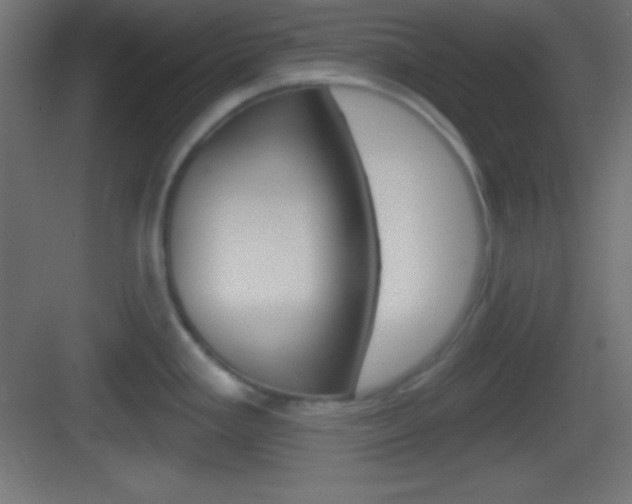 X0000083531293200702090710