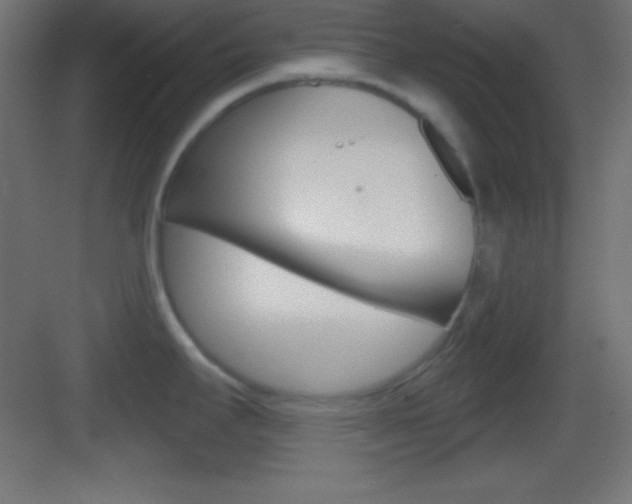 X0000083531295200702090710