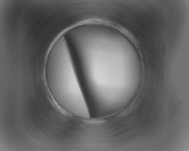 X0000083531296200702090710