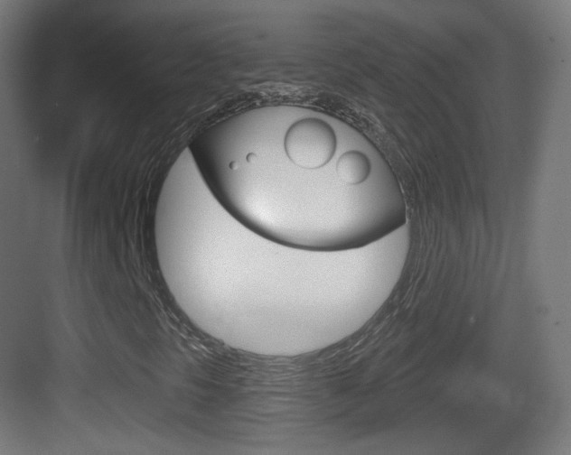 X0000083531297200702090709