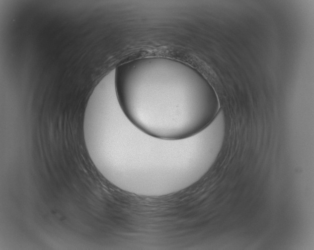 X0000083531298200702090709