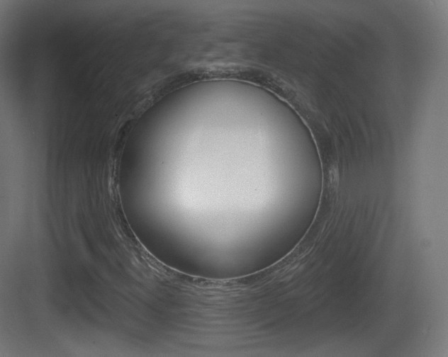 X0000083531300200702090709