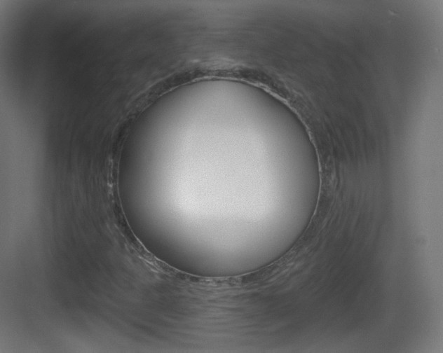 X0000083531301200702090709