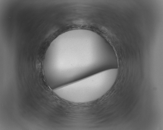 X0000083531302200702090709