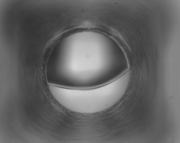 X0000083531304200702090709