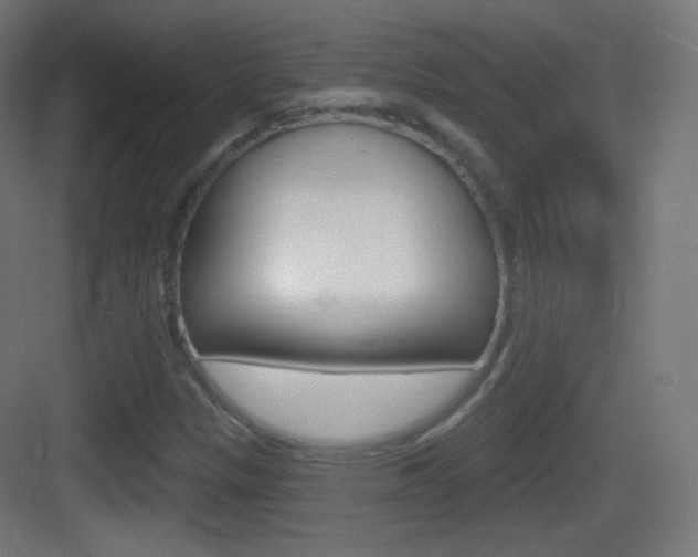 X0000083531305200702090709