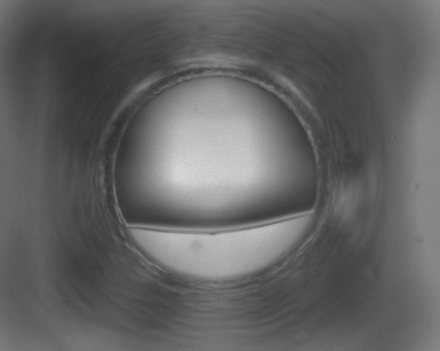 X0000083531307200702090709