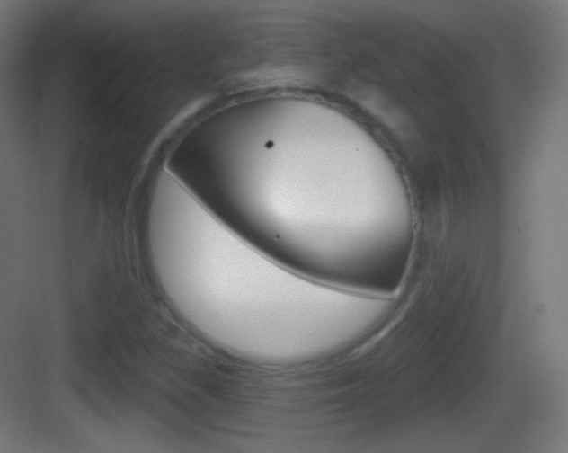 X0000083531309200702090709
