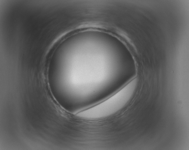 X0000083531312200702090710