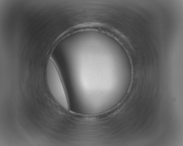 X0000083531313200702090710