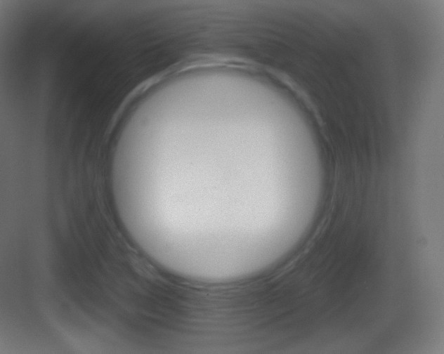 X0000083531314200702090710