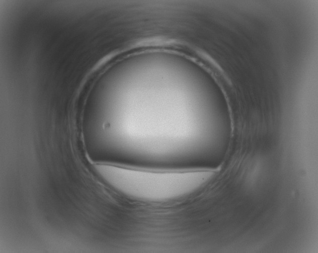 X0000083531315200702090710