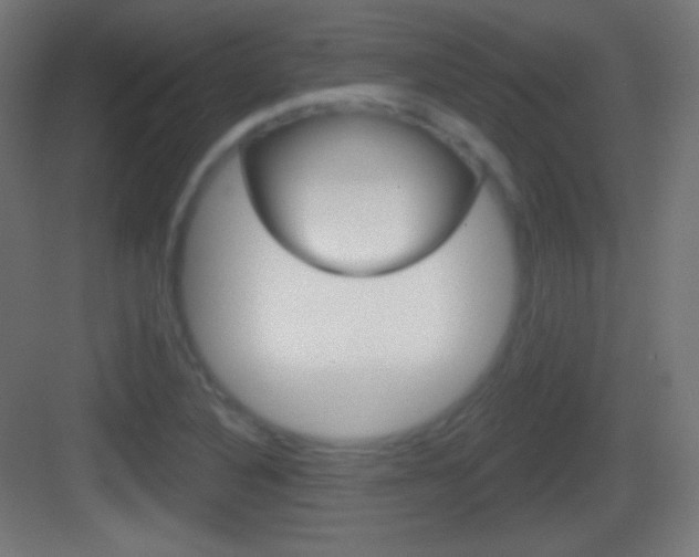 X0000083531316200702090710