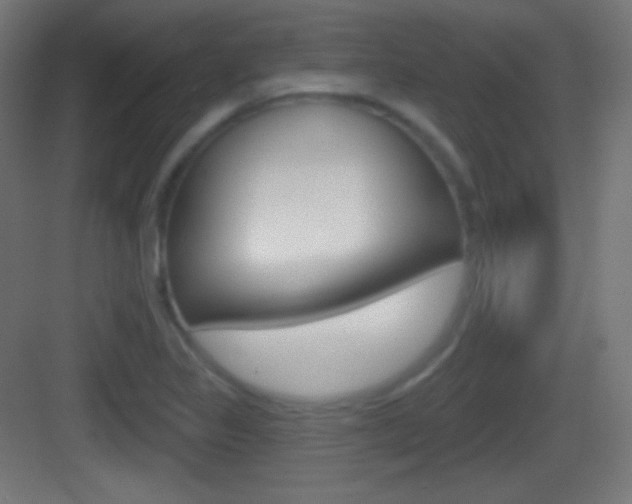 X0000083531317200702090710