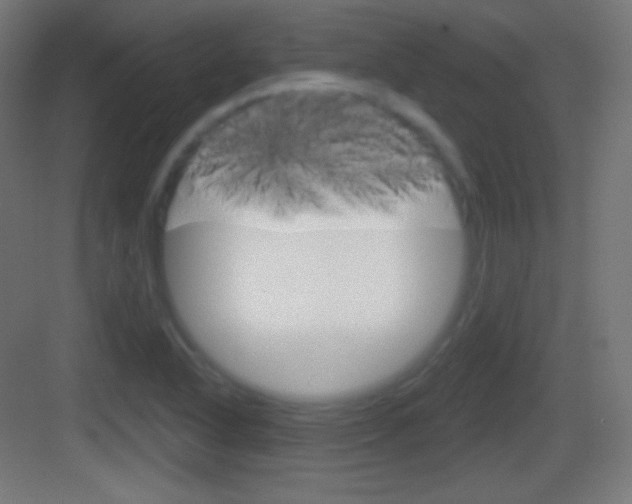 X0000083531318200702090710