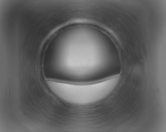 X0000083531319200702090710