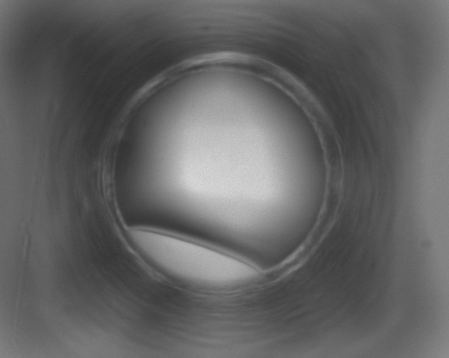 X0000083531321200702090710