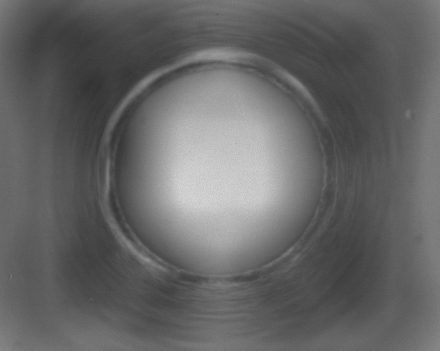 X0000083531323200702090710