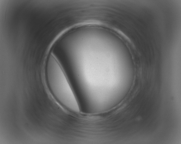 X0000083531325200702090710