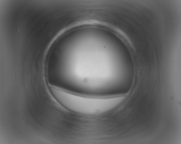 X0000083531326200702090710