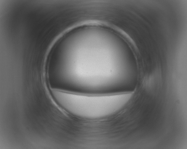 X0000083531327200702090710