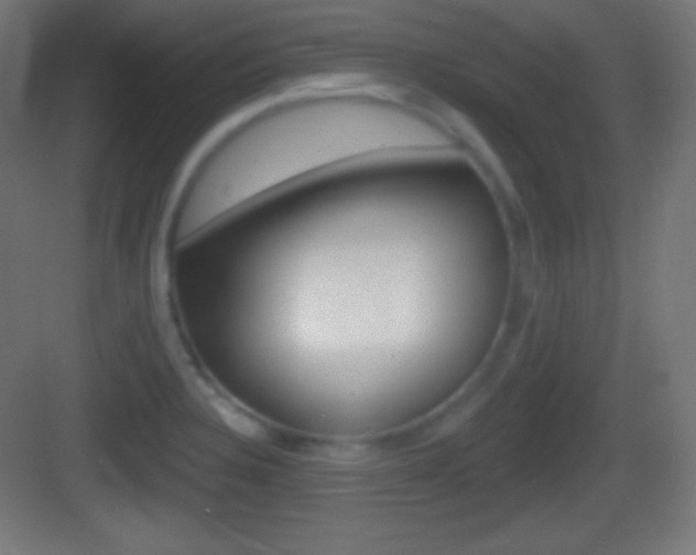 X0000083531328200702090710
